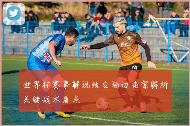 世界杯赛事解说结合场边花絮解析关键战术看点