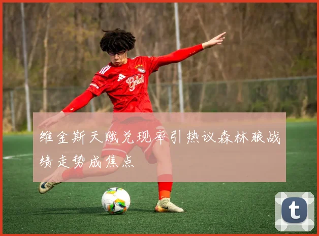 维金斯天赋兑现率引热议森林狼战绩走势成焦点