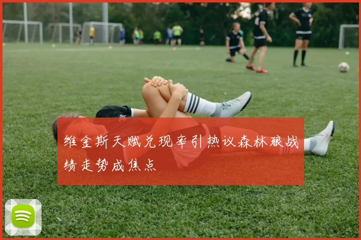 维金斯天赋兑现率引热议森林狼战绩走势成焦点