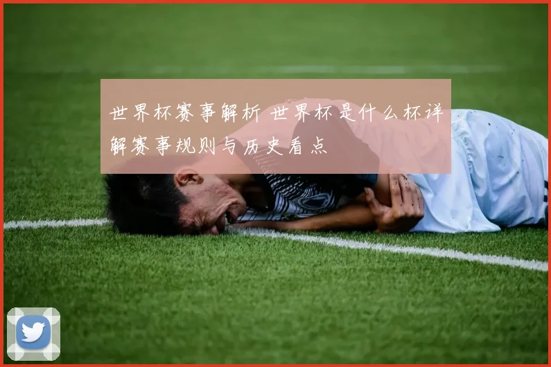 世界杯赛事解析 世界杯是什么杯详解赛事规则与历史看点