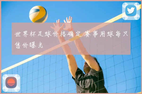 世界杯足球价格确定 赛事用球每只售价曝光
