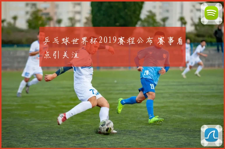 乒乓球世界杯2019赛程公布 赛事看点引关注