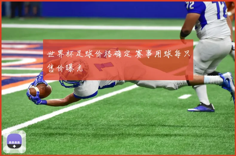 世界杯足球价格确定 赛事用球每只售价曝光