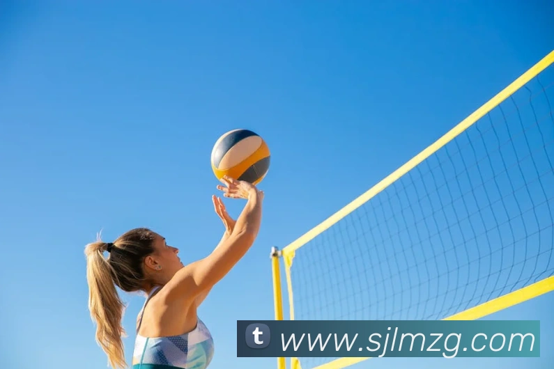 milan登录入口APP 封面图